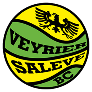 Veyrier Salève Basket logo
